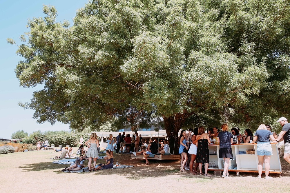 Tucks estate in summer